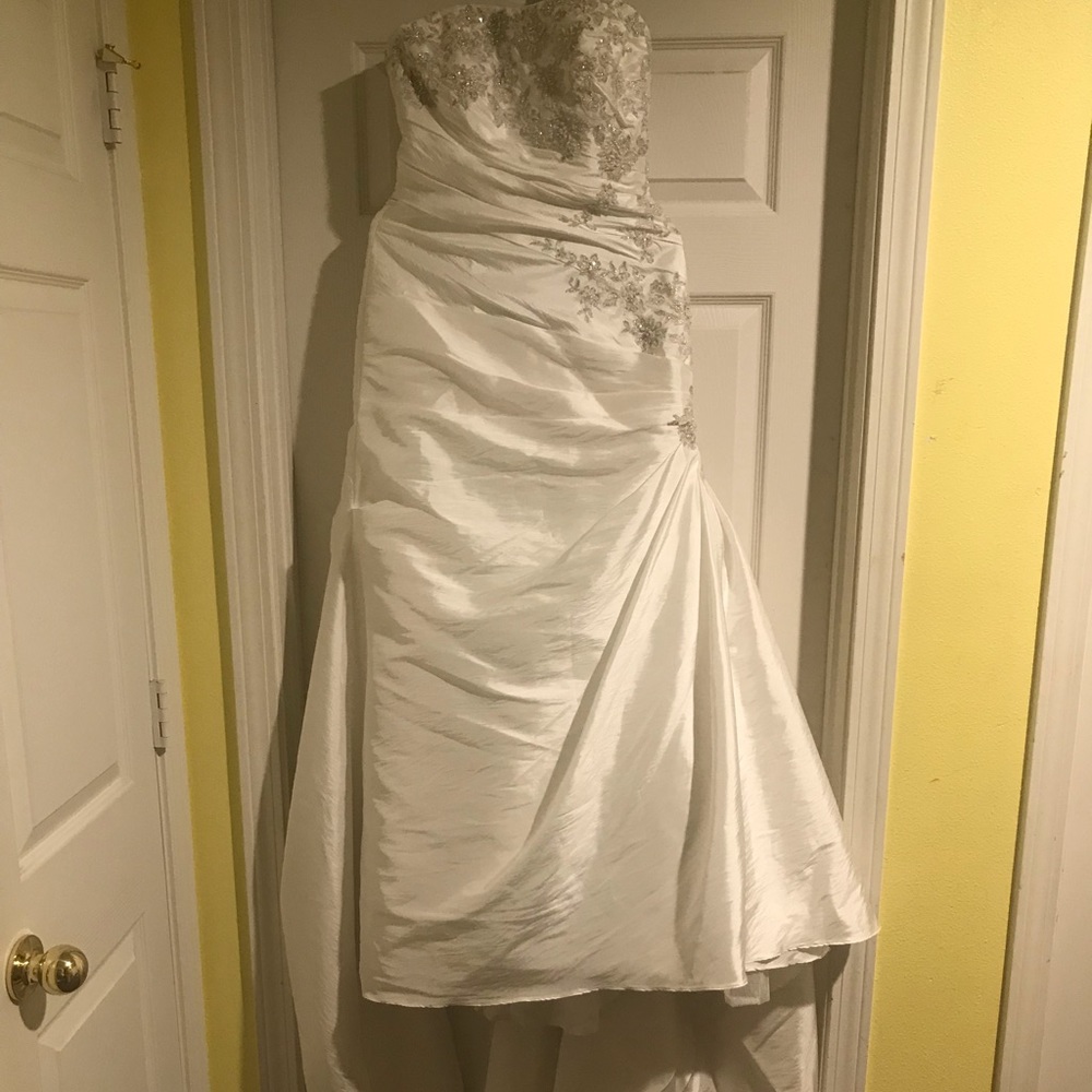 Stunning David’s Bridal Wedding Dress